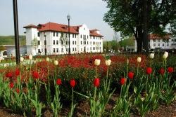 Chapin hall with tulips